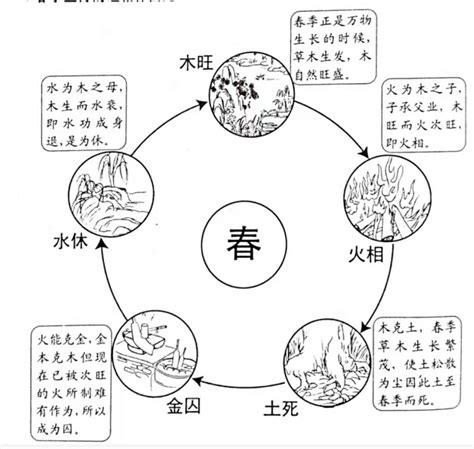 四季五行|五行的旺、相、休、囚、死